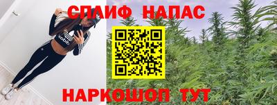 крисы Ливны