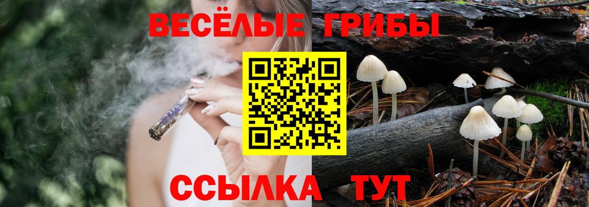 наркота  Вход с VPN  Чебаркуль  Псилоцибиновые грибы прущие грибы 